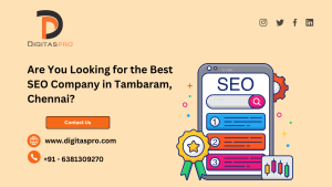 Read more about the article Are you looking for Best SEO Company In Tambaram Chennai?
